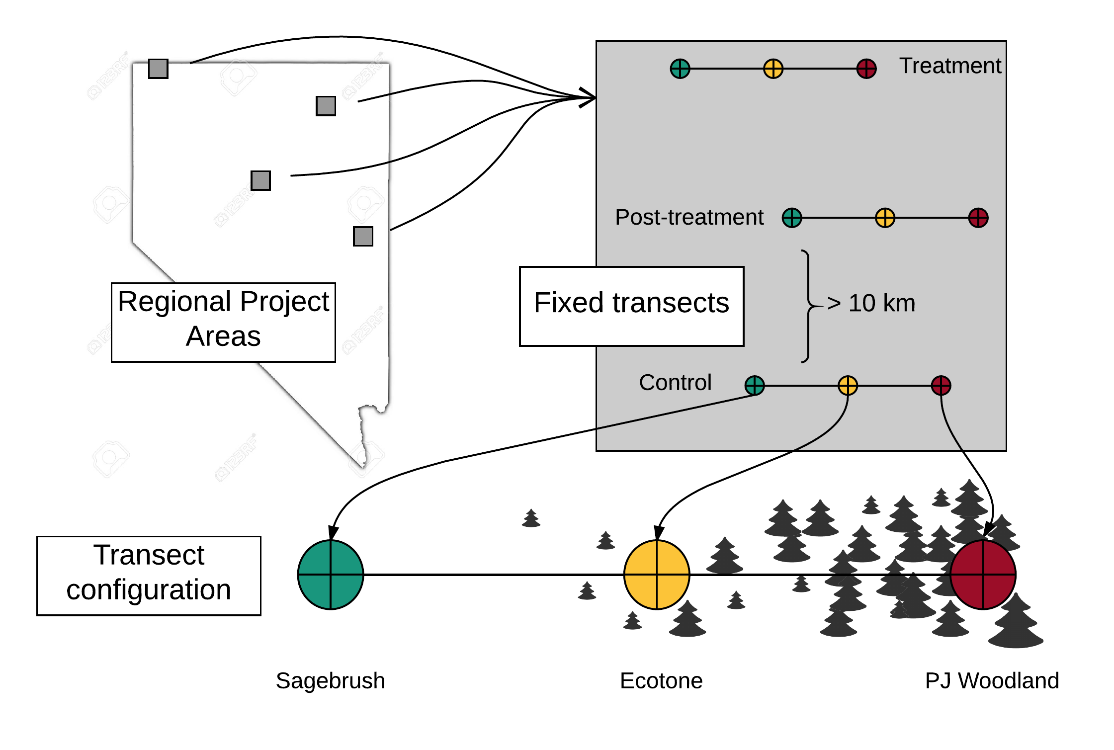 Schematic of study design