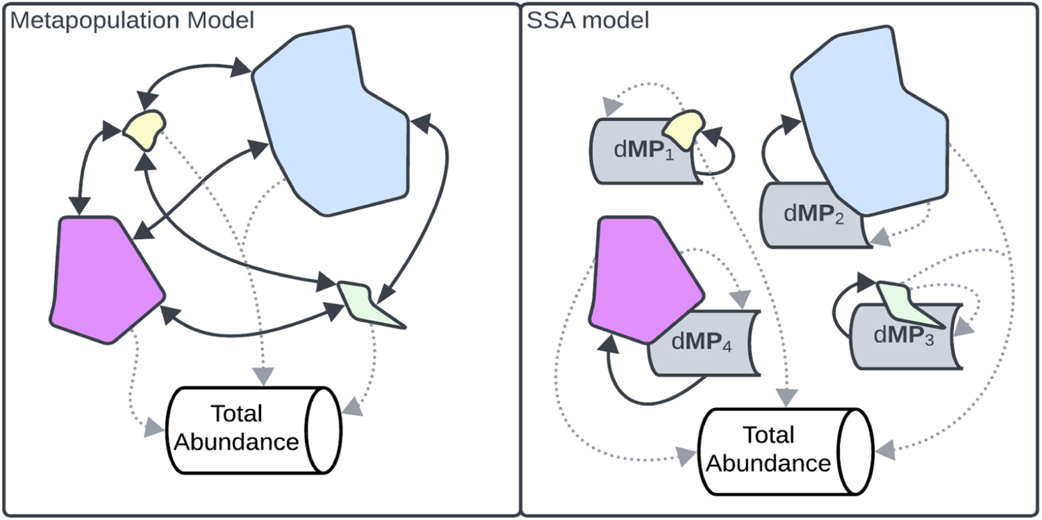 Schematic comparing a standard metapopulation model to the flawed SSA model