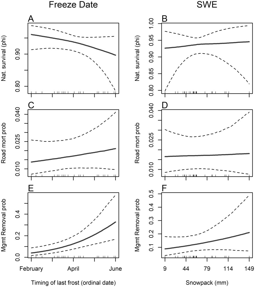 Plots of black bear survival and mortality probability as a function of freeze date and snowpack