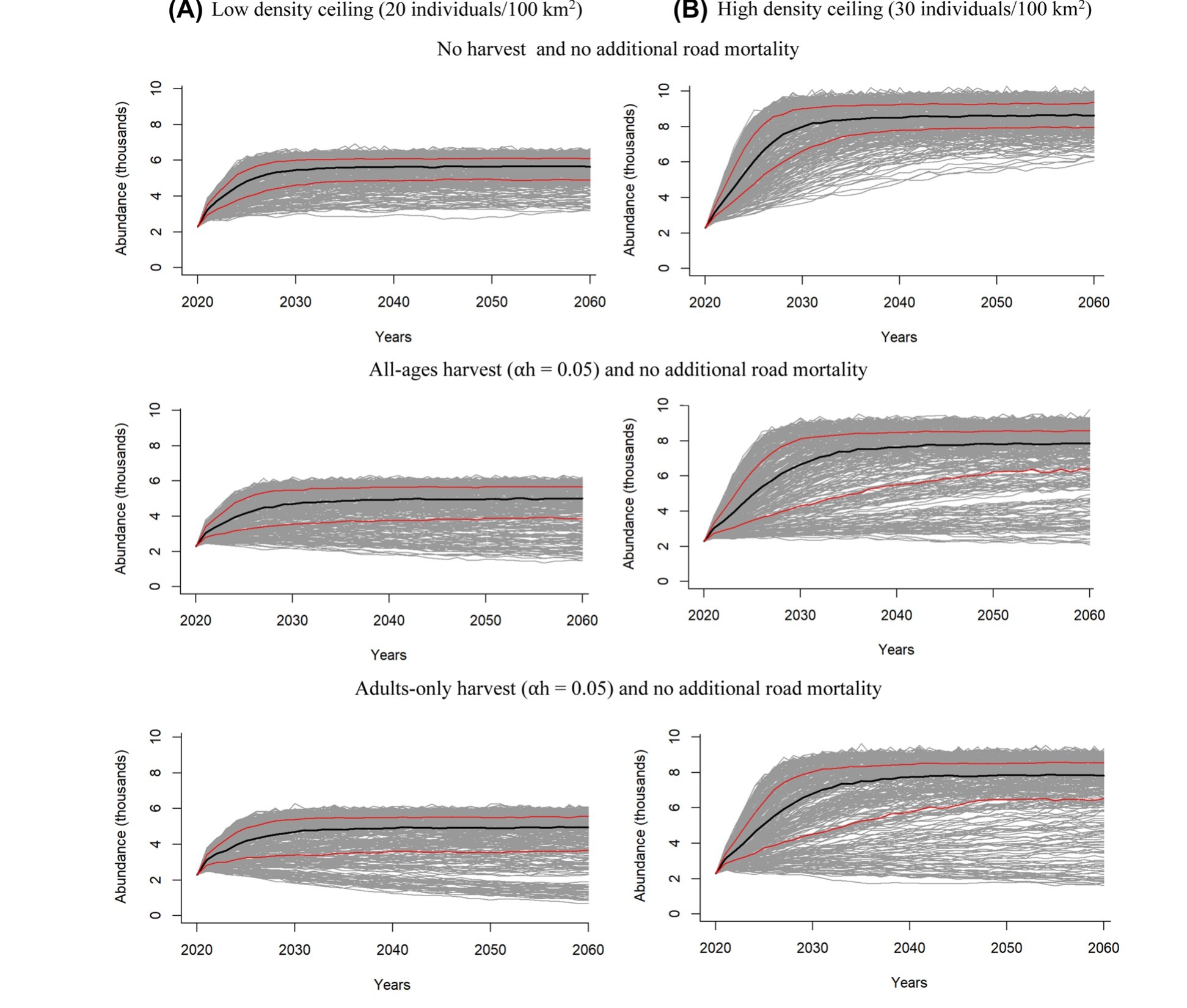 Simulated bobcat population trajectories in Ohio under different harvest and density scenarios