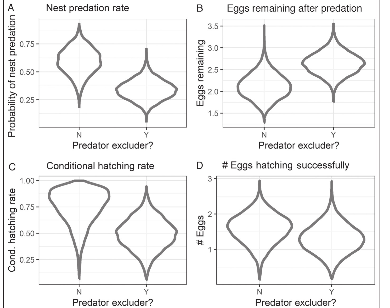 Violin plots comparing nest predation rate, eggs remaining, conditional hatching rate, and eggs hatched between protected and unprotected Bog Turtle nests